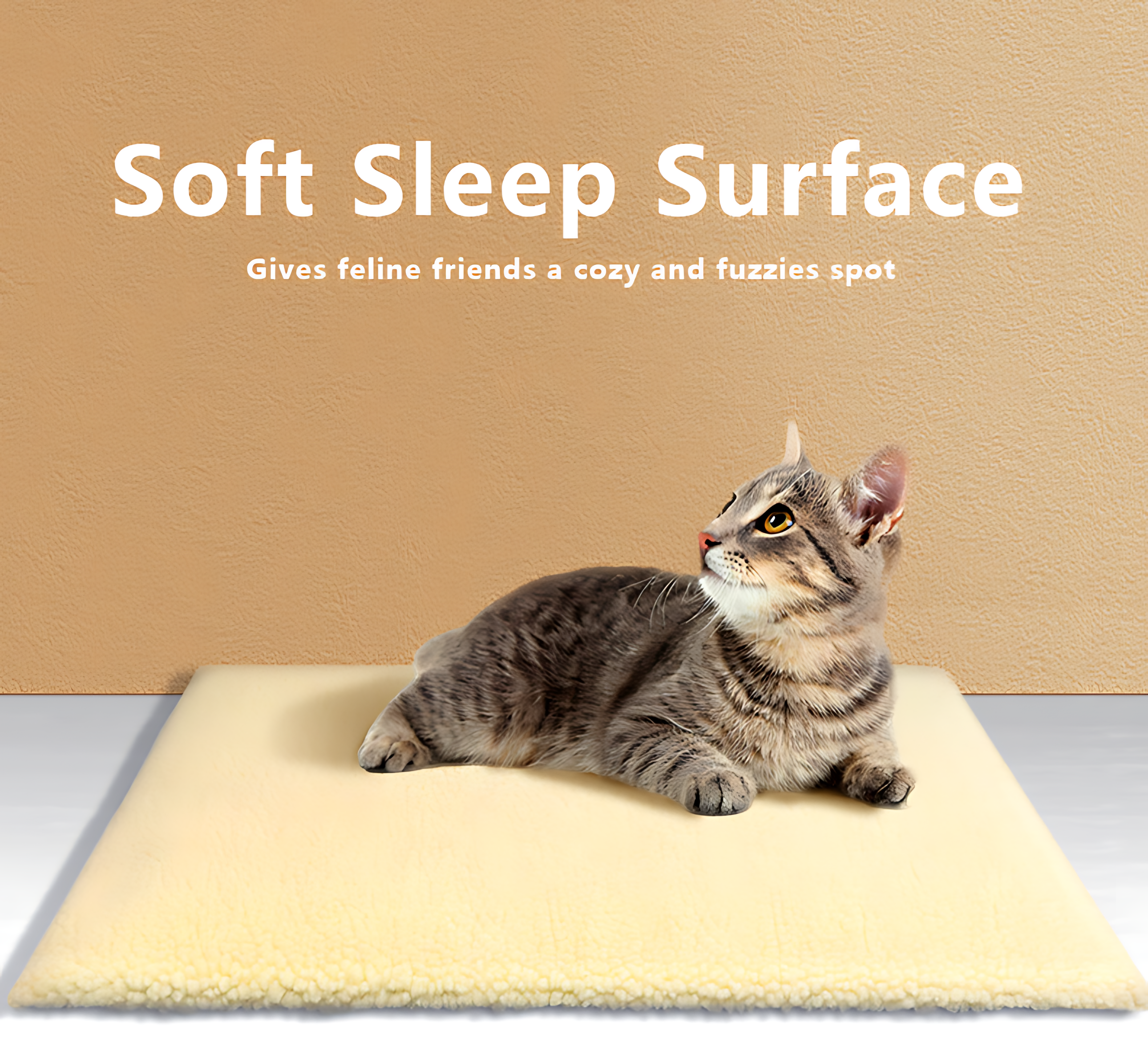 Merry & Joy Self-Heating Pet Mat — 2 cm Thick Lamb Fleece Bed for Dogs & Cats(19x24inch)