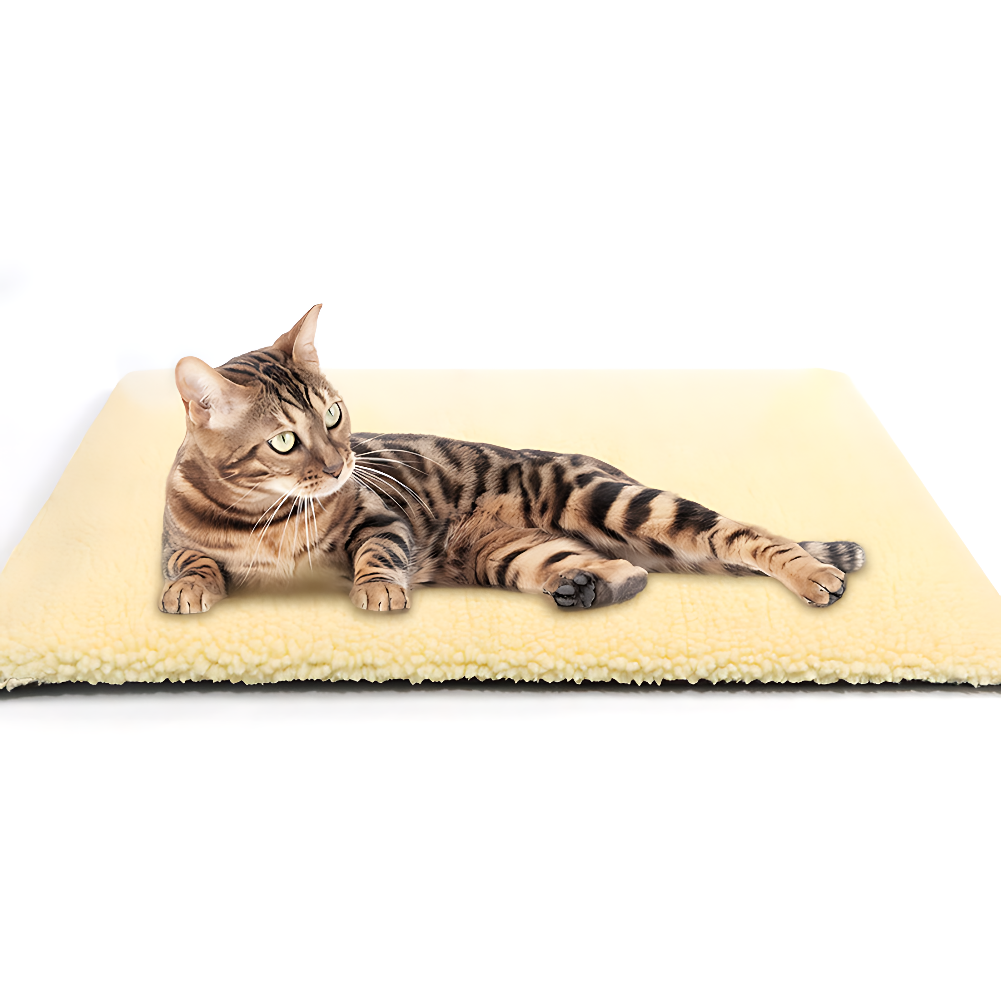 Merry & Joy Self-Heating Pet Mat — 2 cm Thick Lamb Fleece Bed for Dogs & Cats(19x24inch)